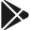 Play Store Icon